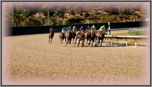 horse_racing